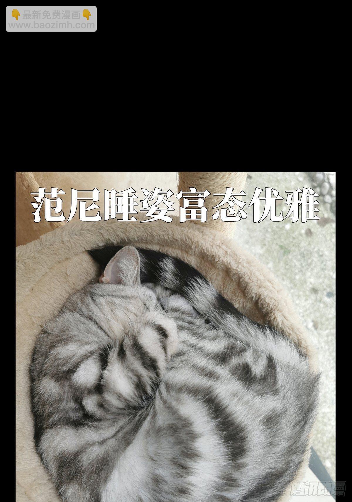第七十八章/同门对决中40