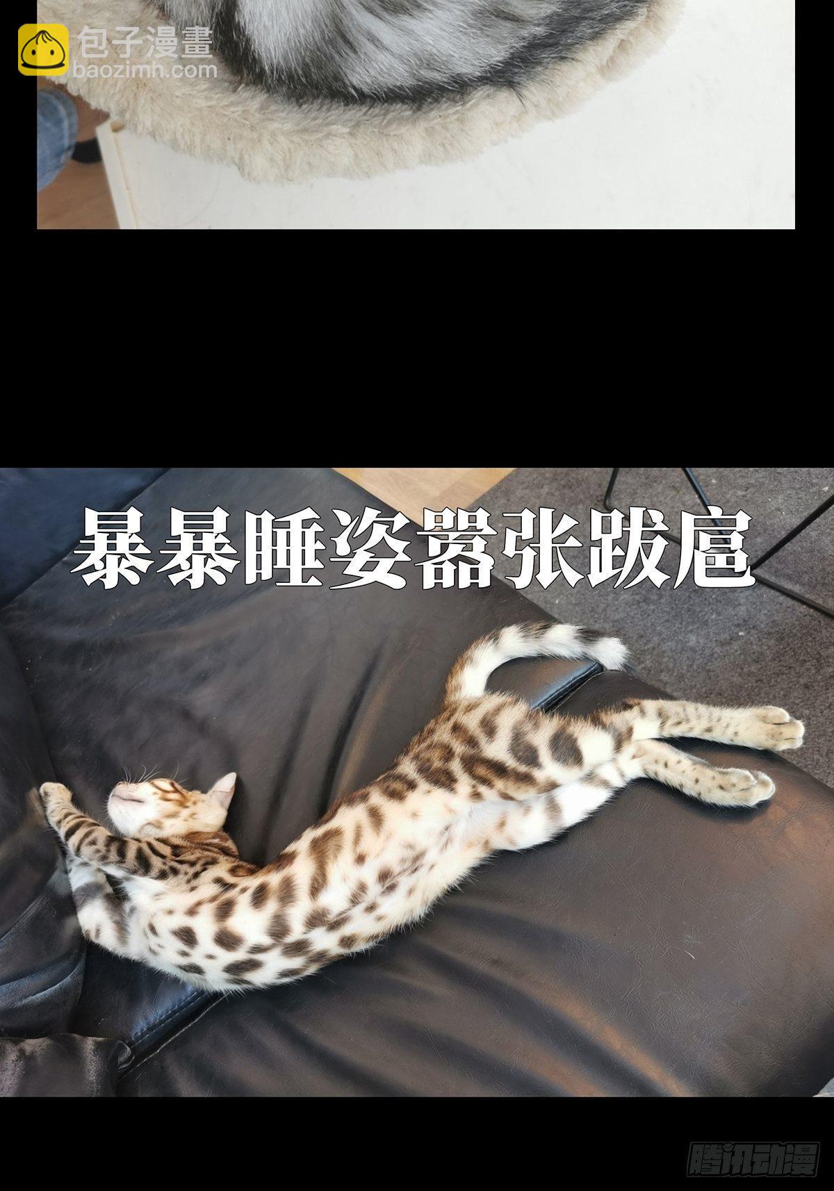 第七十八章/同门对决中41