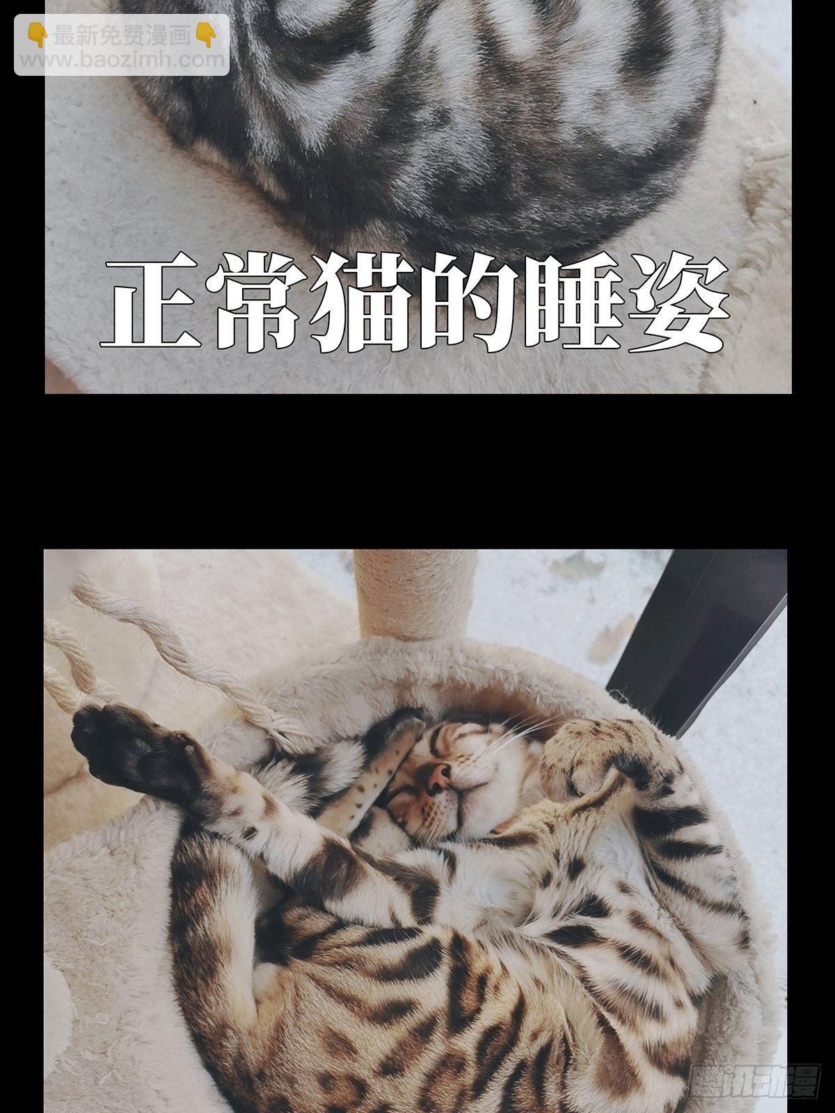 第九十五章/灵息上36