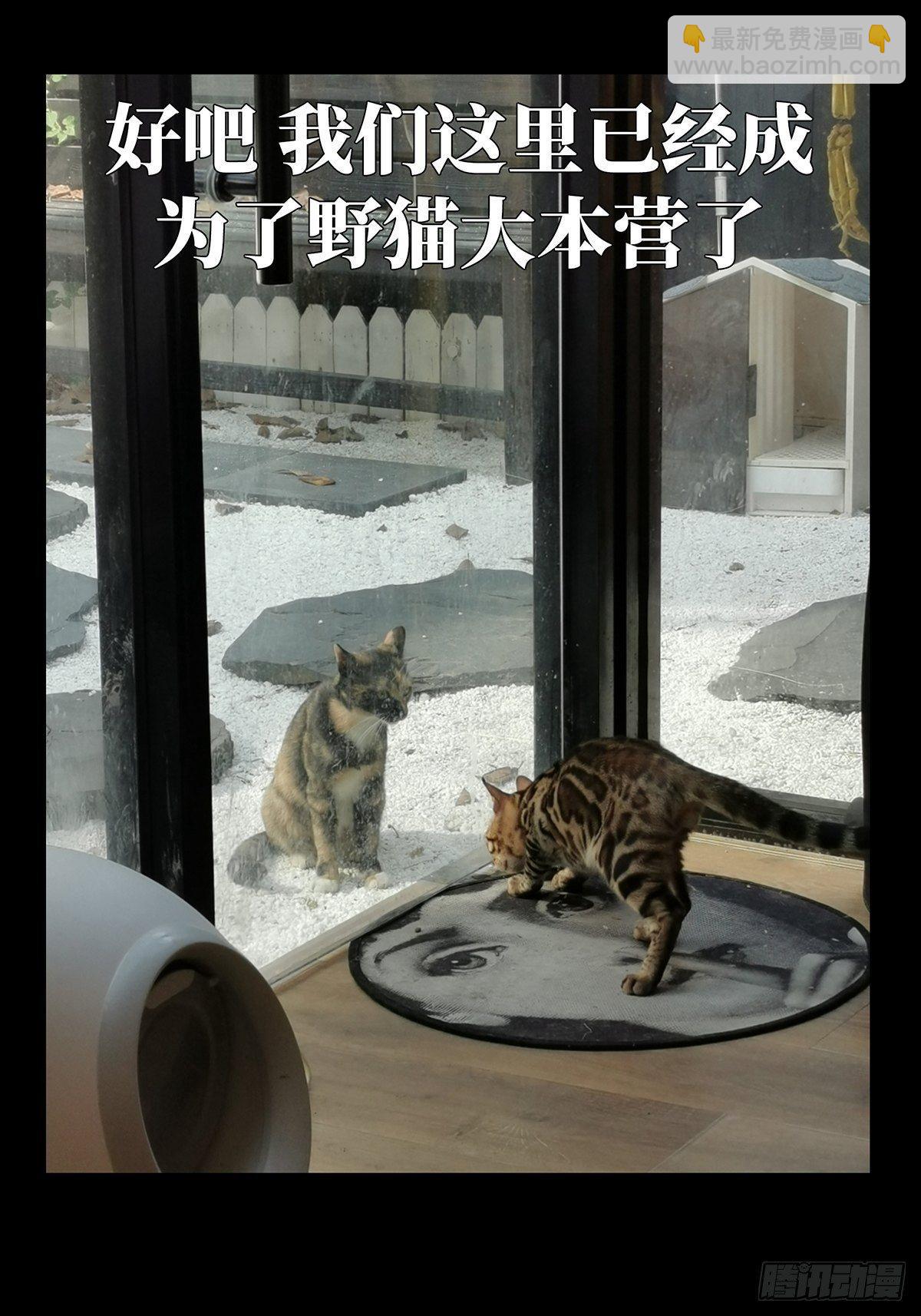 第九十七章/灵息下32