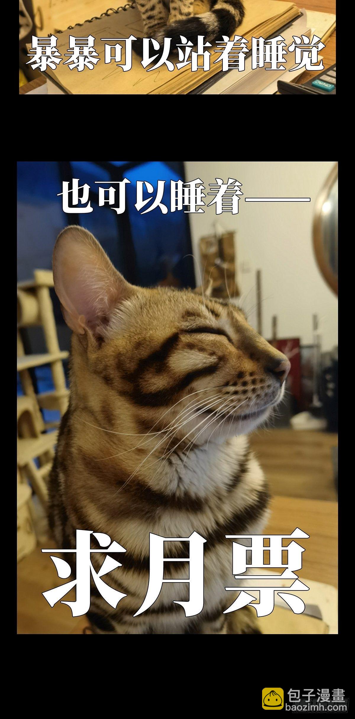 第一百一十三章/强者登场上39
