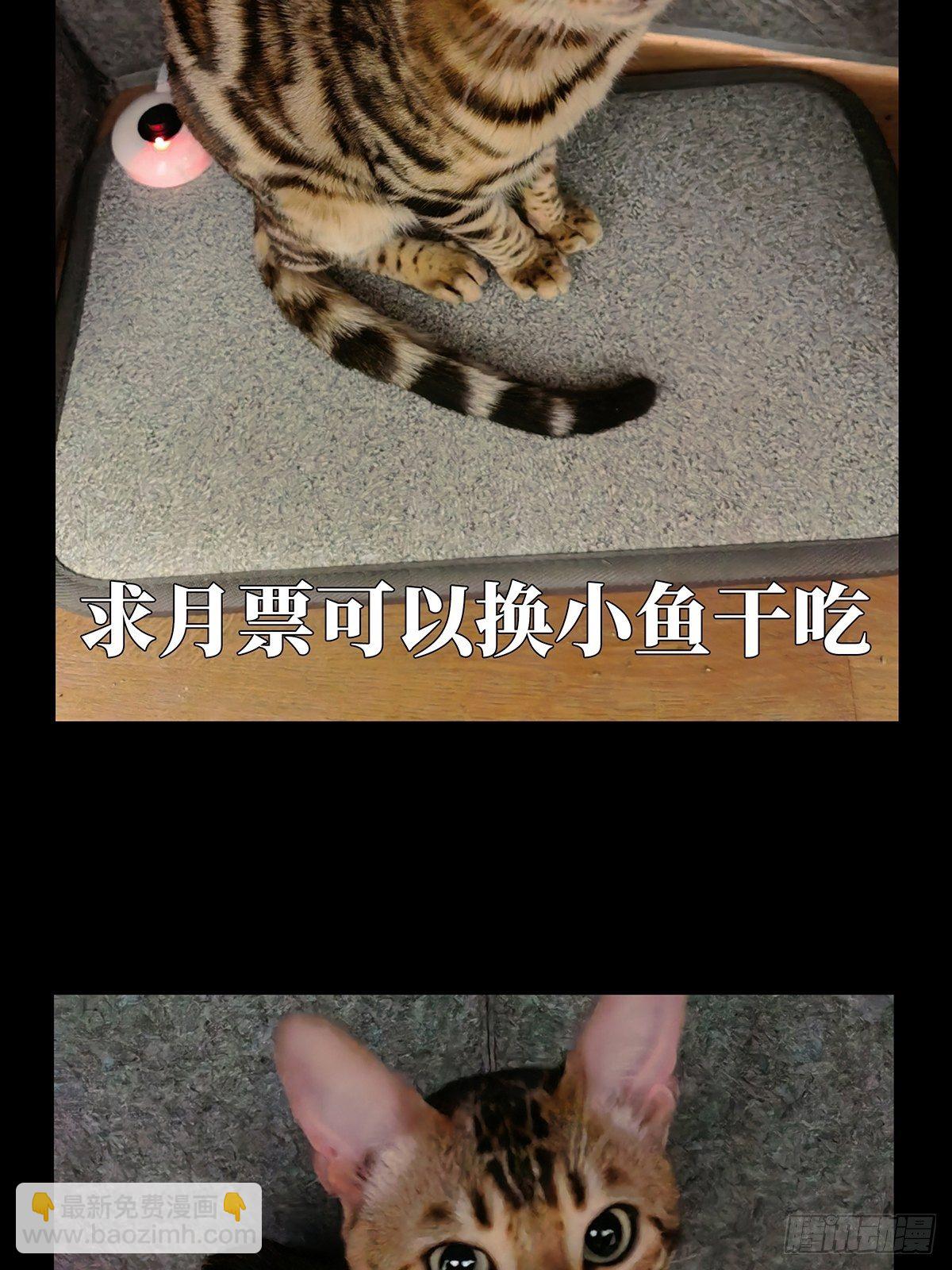 第一百一十八章/灵域下45
