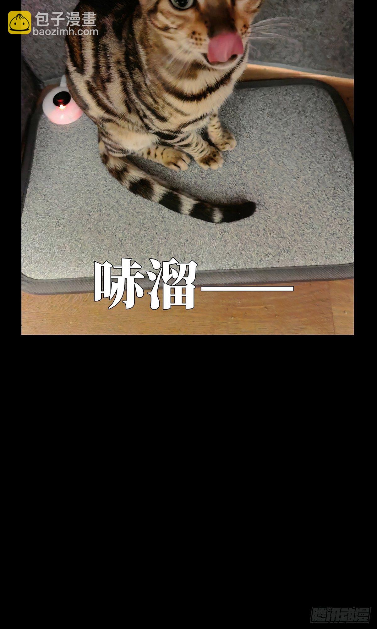 第一百一十八章/灵域下46