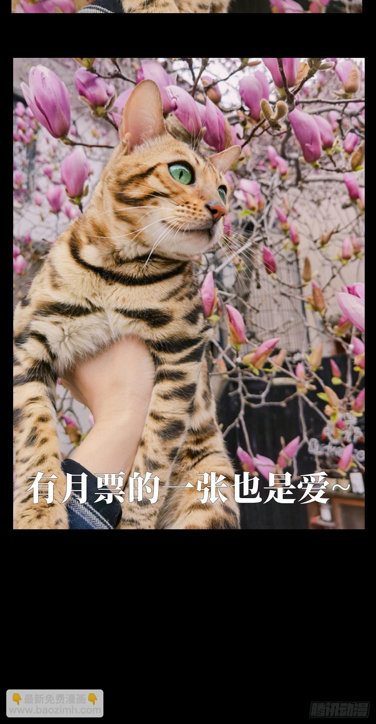 第一百二十七章/情感下46