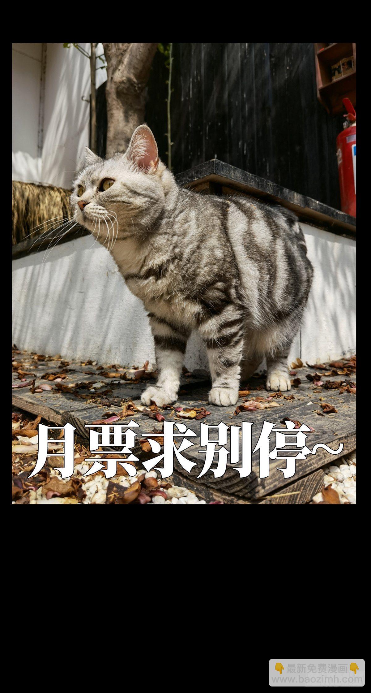 第一百二十八章/情愫上40