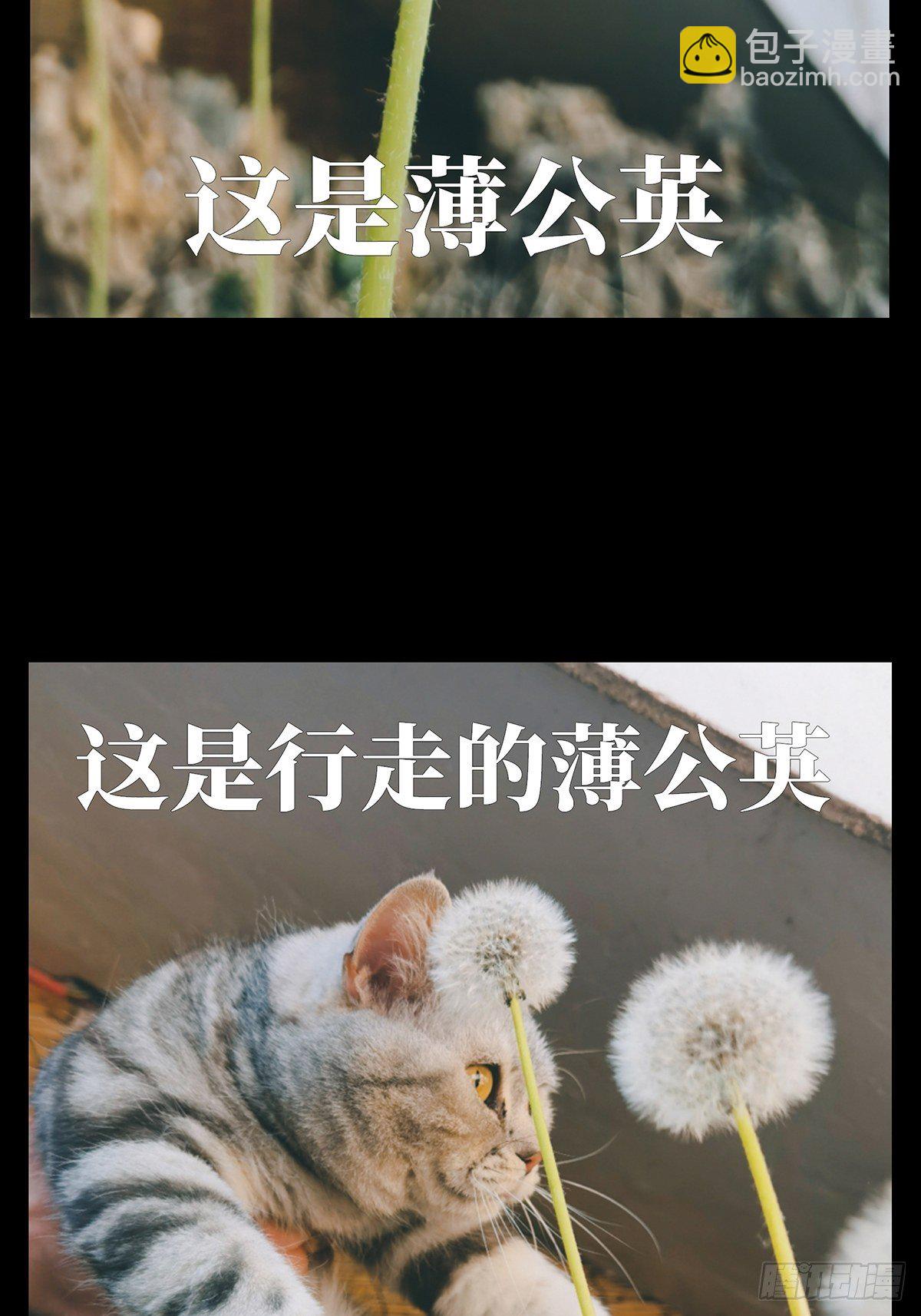 第一百三十章/情愫下41