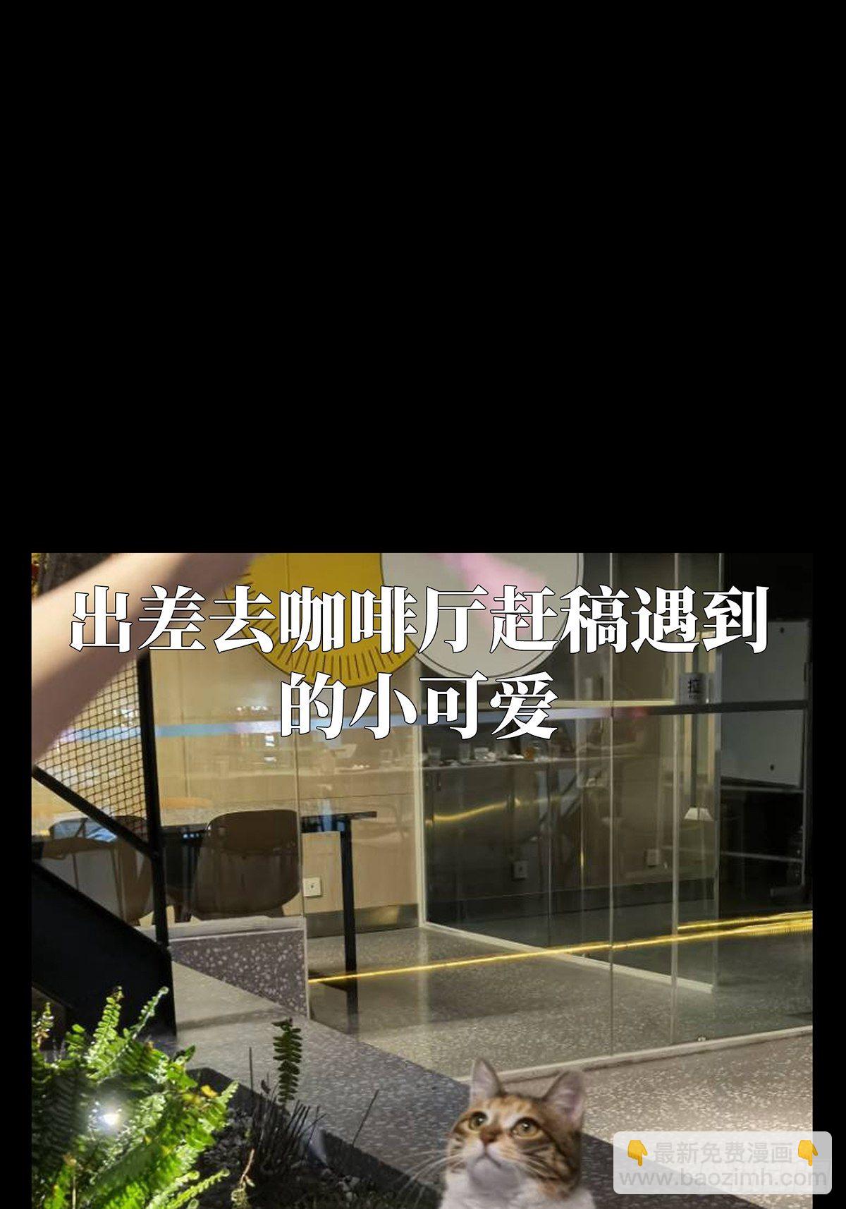 第一百三十五章/任务中36