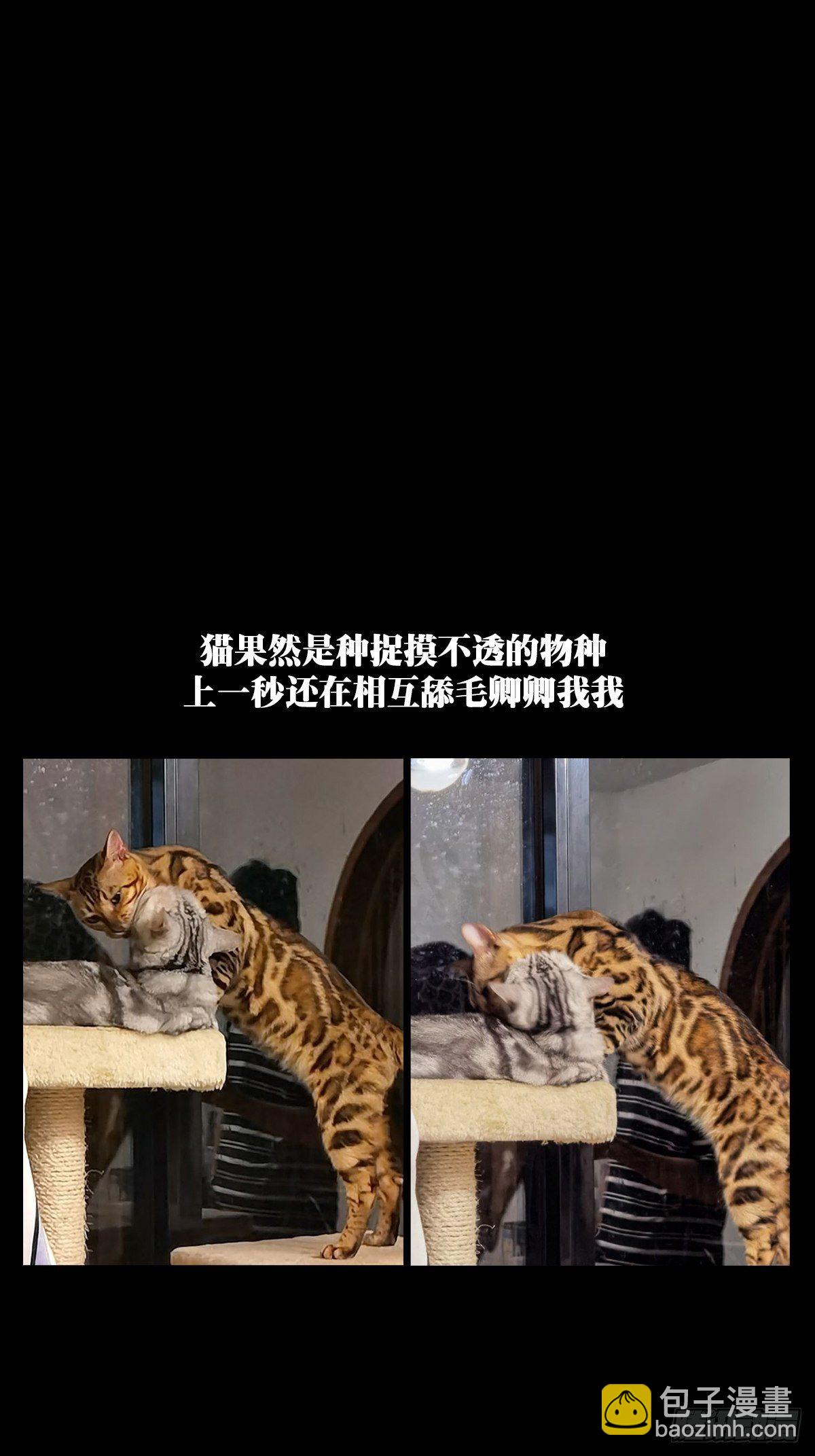 第一百五十八章/约定上40