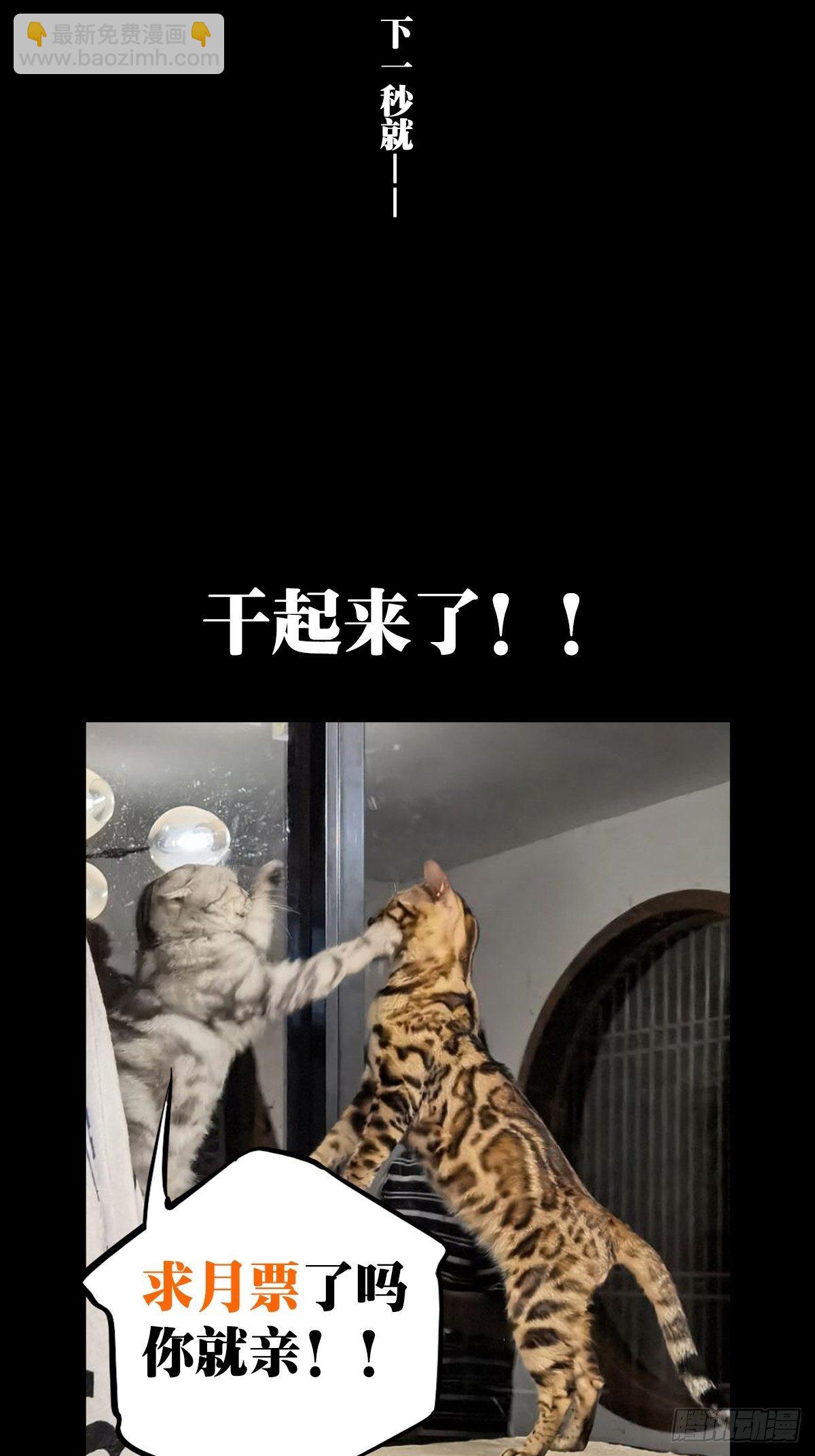 第一百五十八章/约定上41