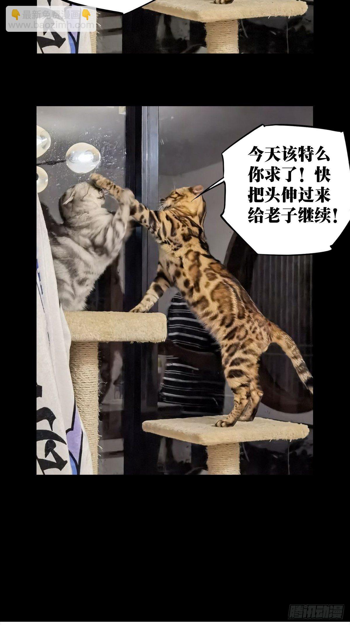 第一百五十八章/约定上42