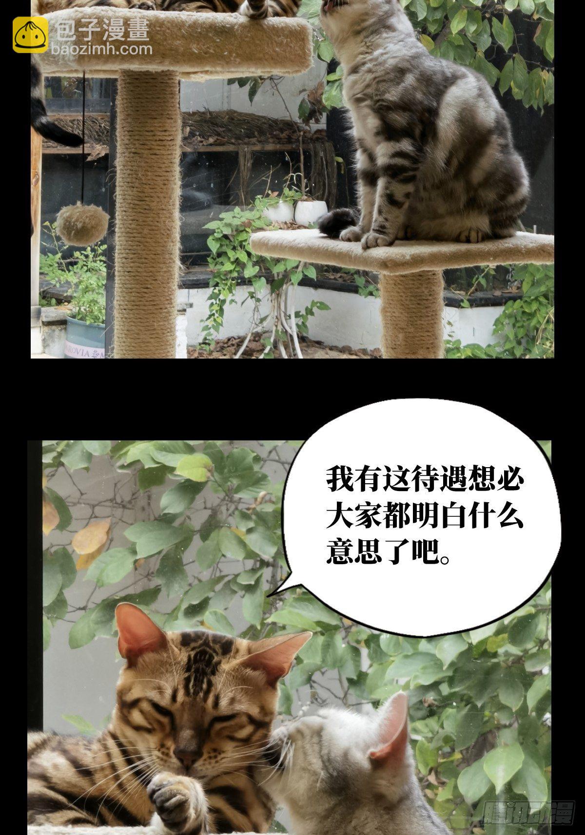 第一百六十六章/牙牙下60