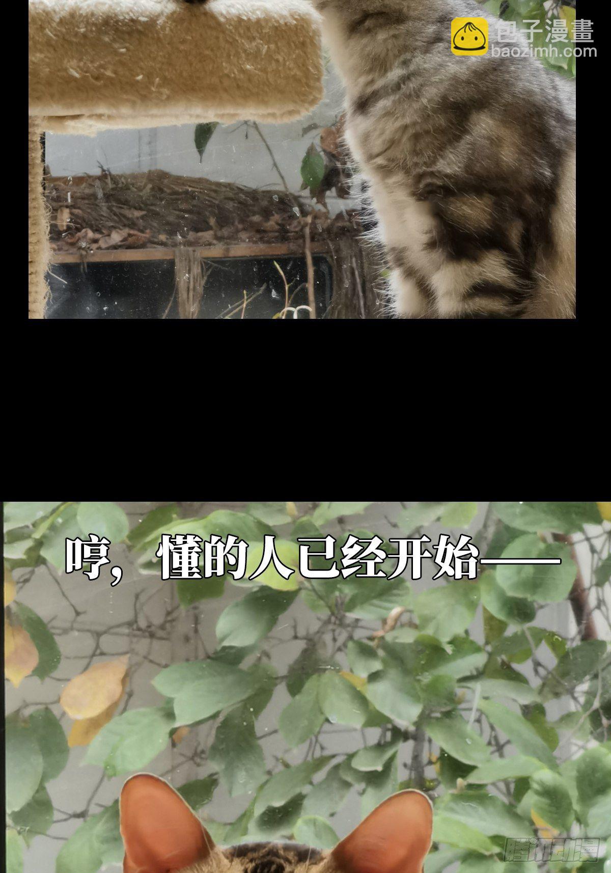 第一百六十六章/牙牙下61