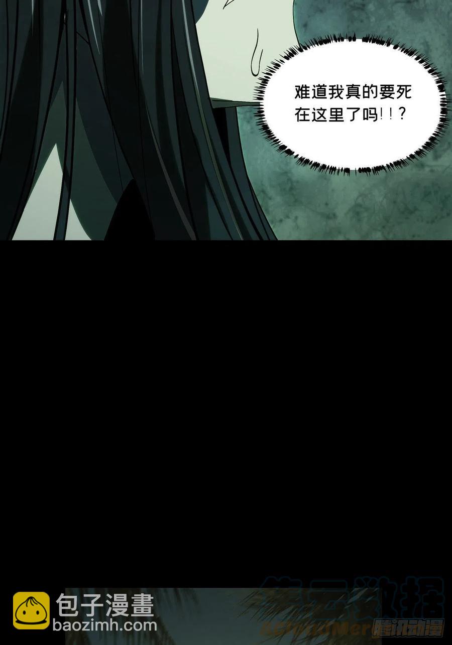 第一百九十七章/轻敌上27