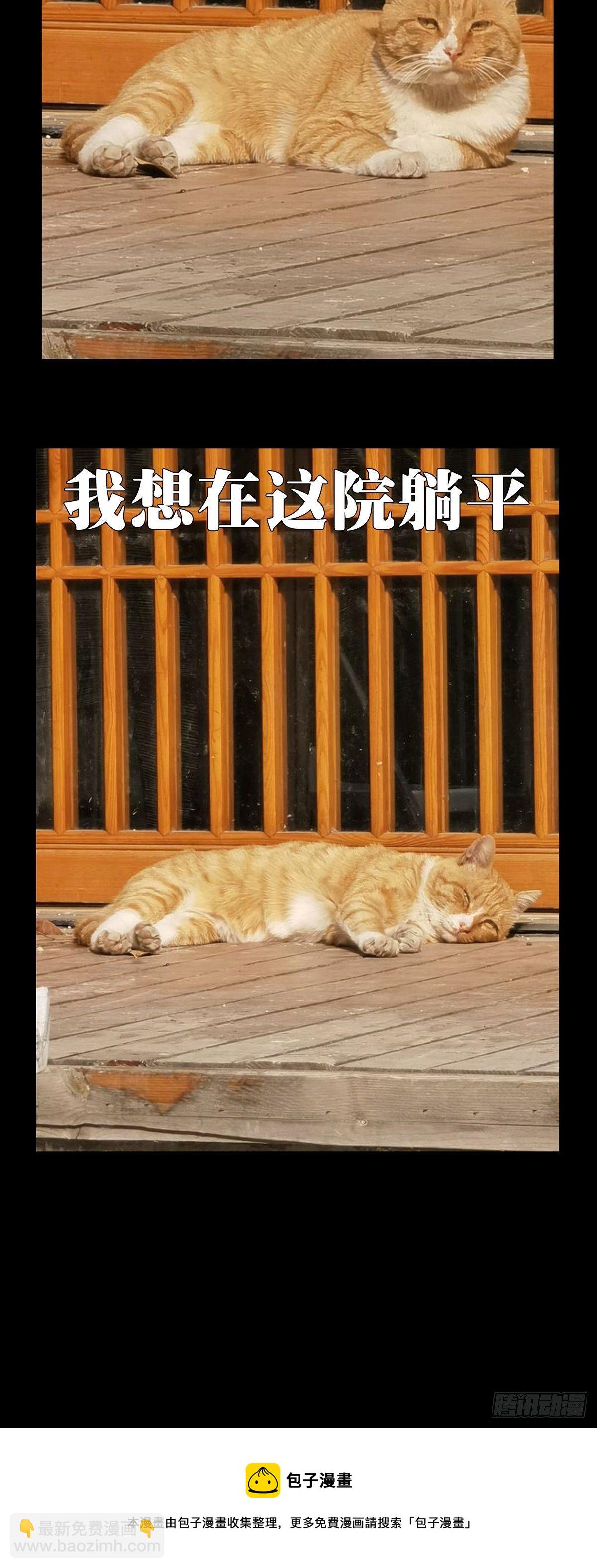 第一百九十九章/轻敌下48