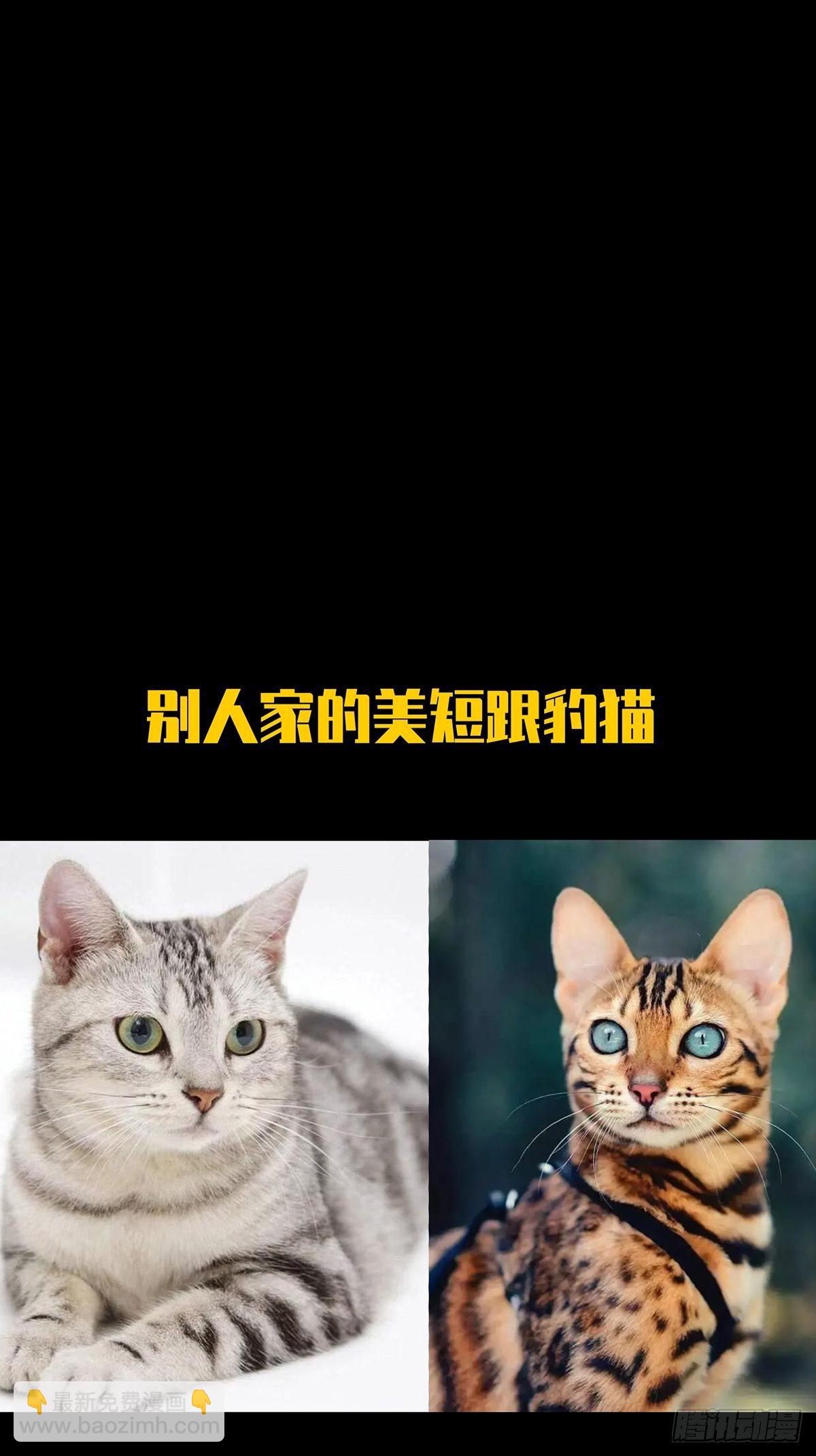 第二百零八章/飞蛾扑火下45