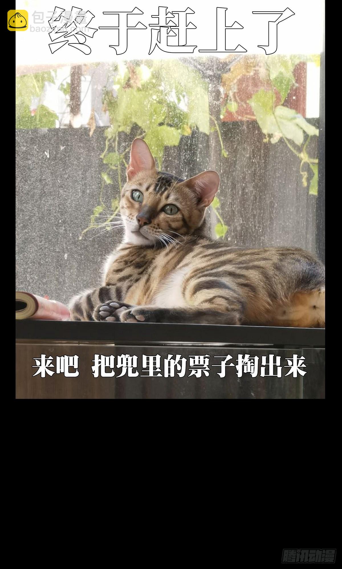 第二百五十五章/决赛开始下43