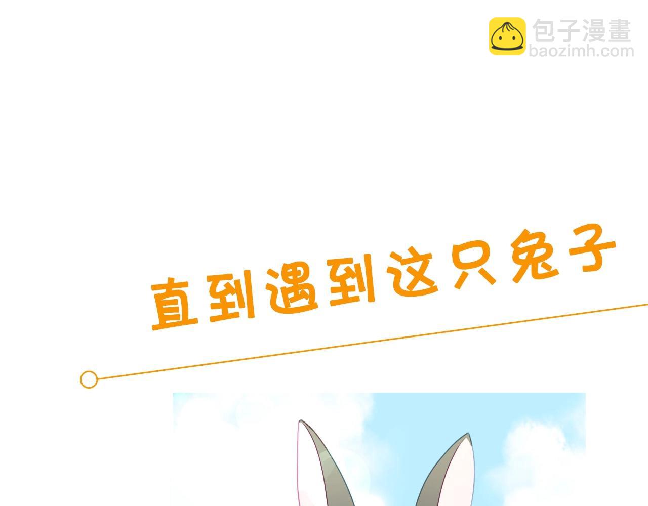 序章  兔子总发飙，但从不乱撩17