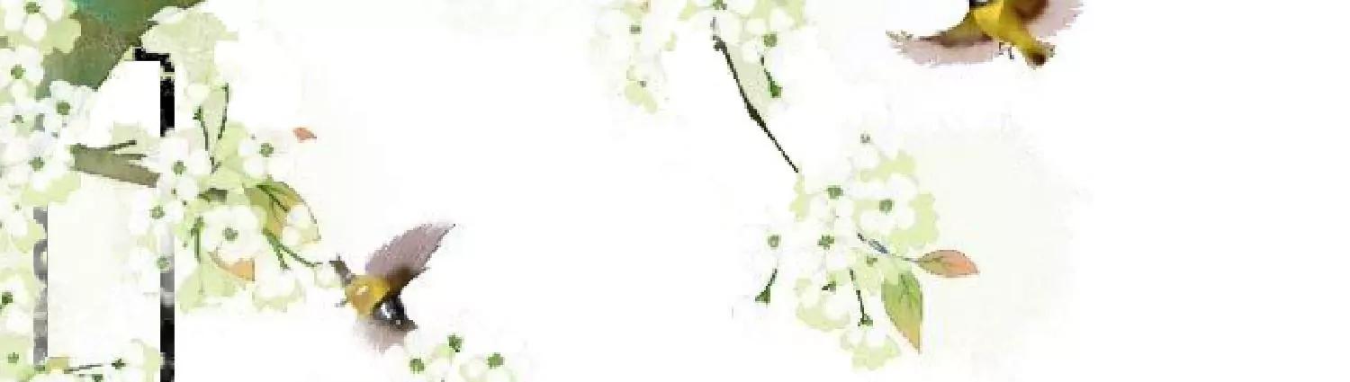 第52话 白虎堂堂主18