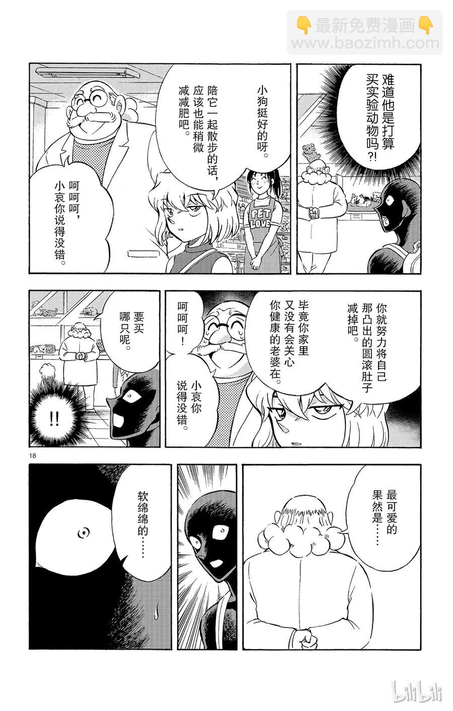 14 FILE.2 Next Conan's HINT“毛球”17