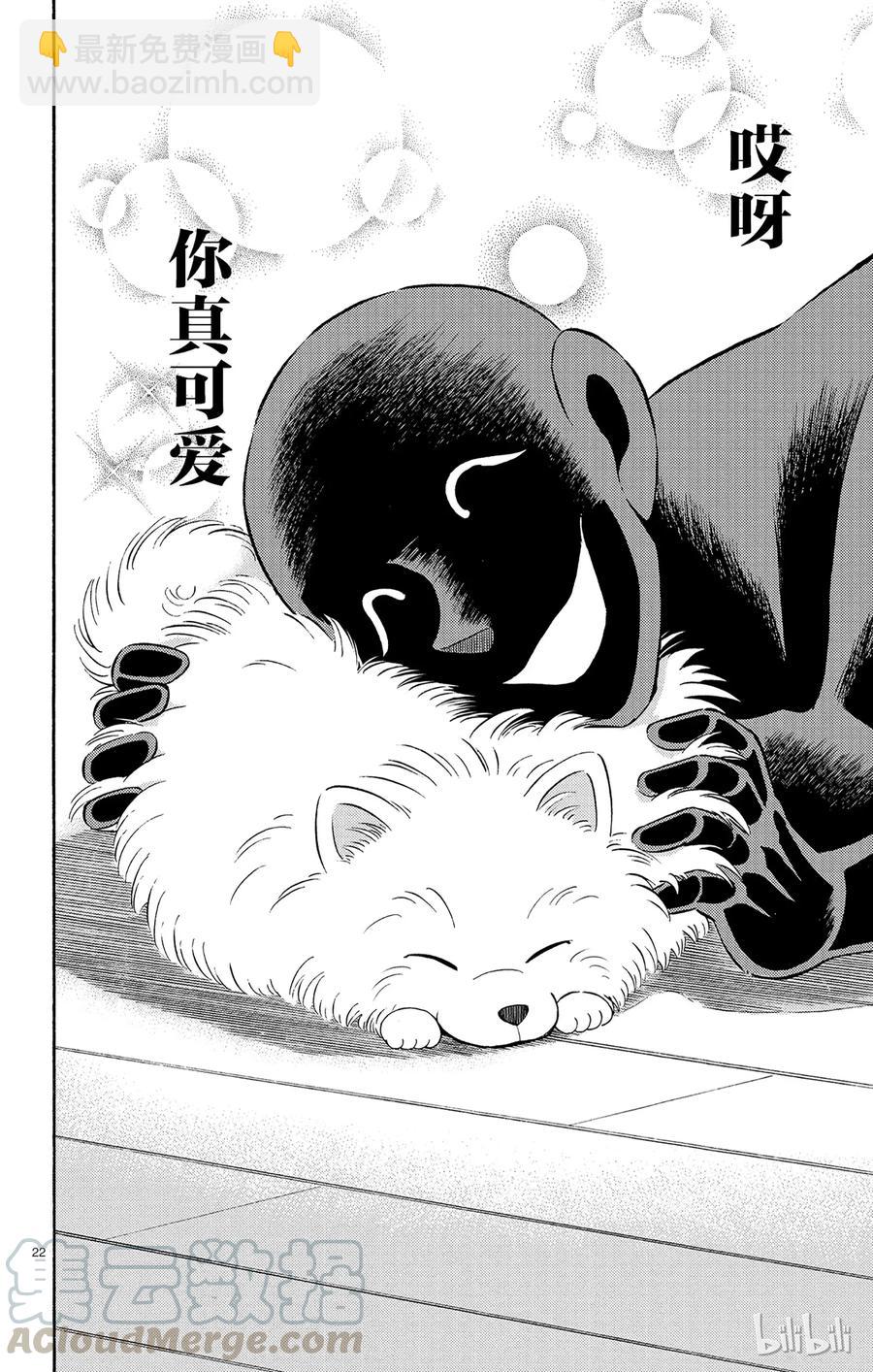14 FILE.2 Next Conan's HINT“毛球”21