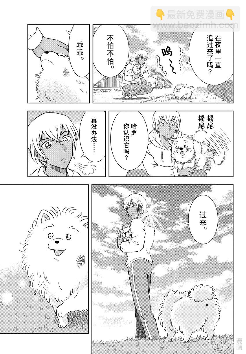 42 FILE.42  名狗狗波美太郎~毅力的肉球~12