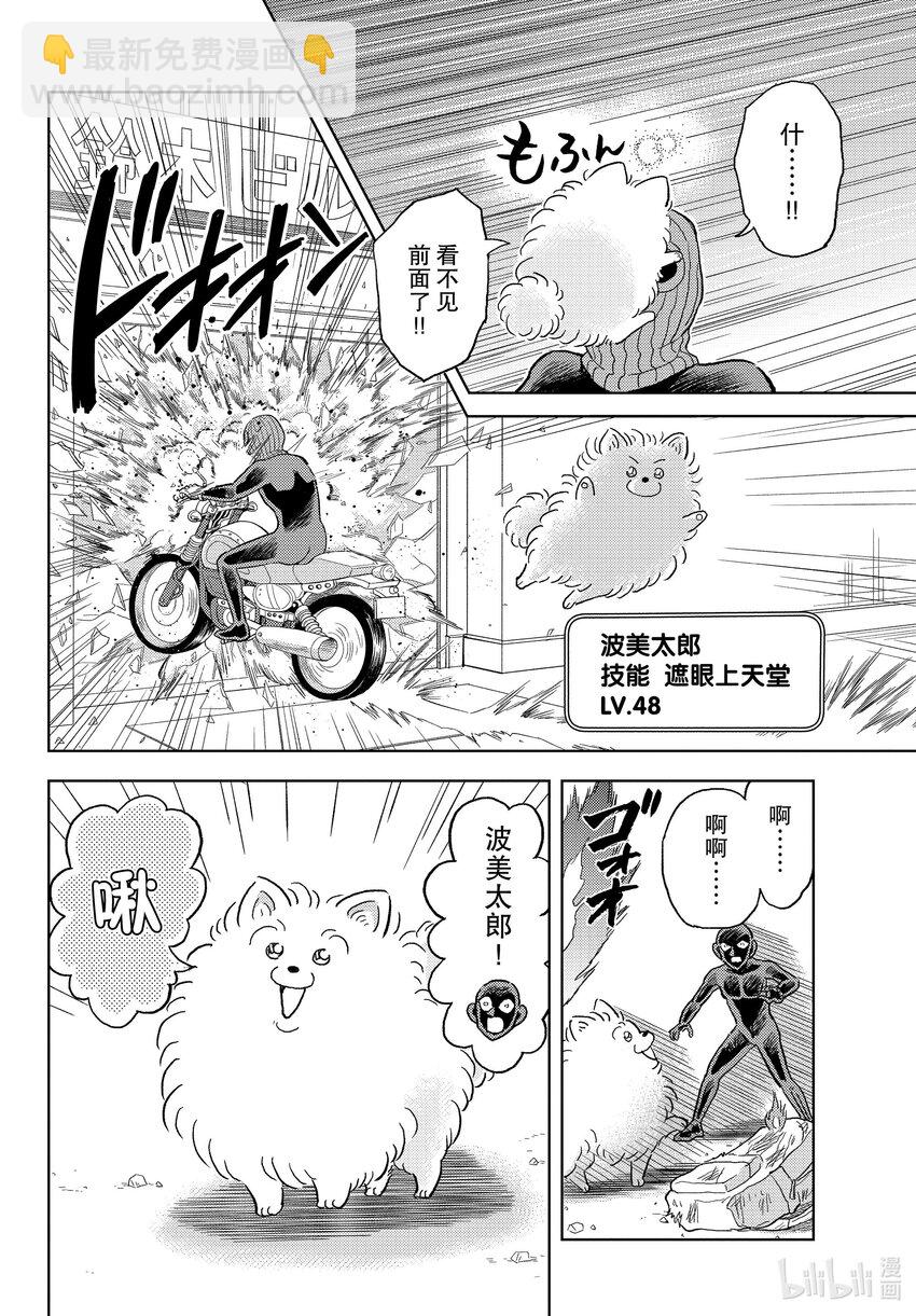 42 FILE.42  名狗狗波美太郎~毅力的肉球~19
