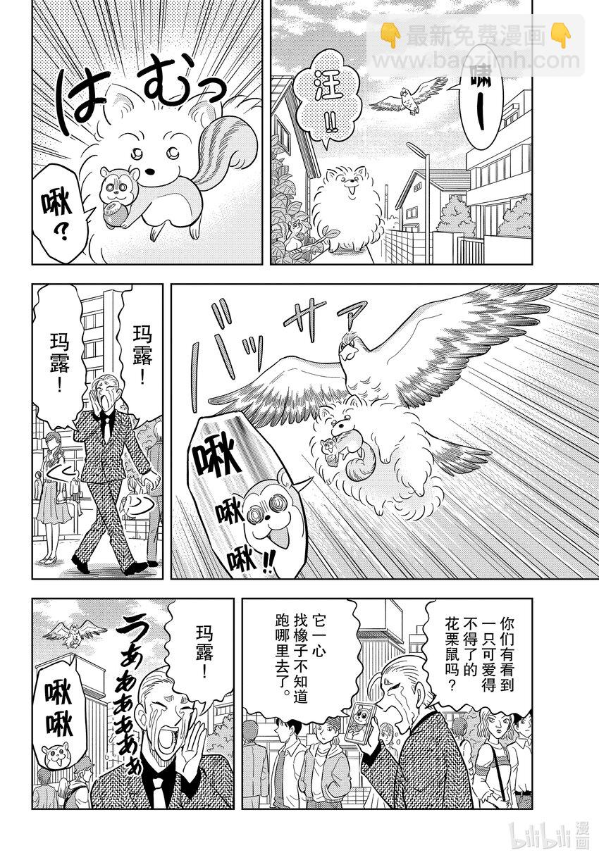 48 FILE.48 波美的日常11