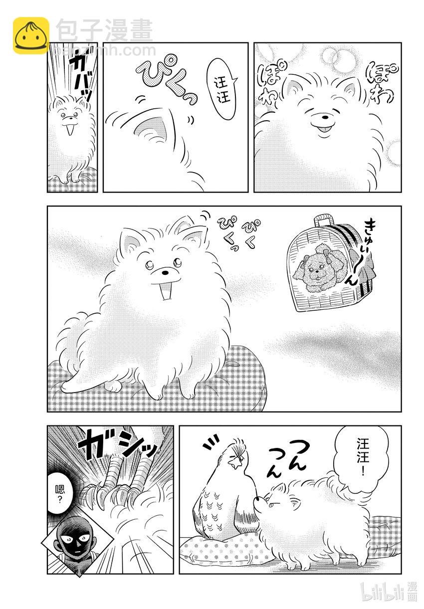 48 FILE.48 波美的日常16