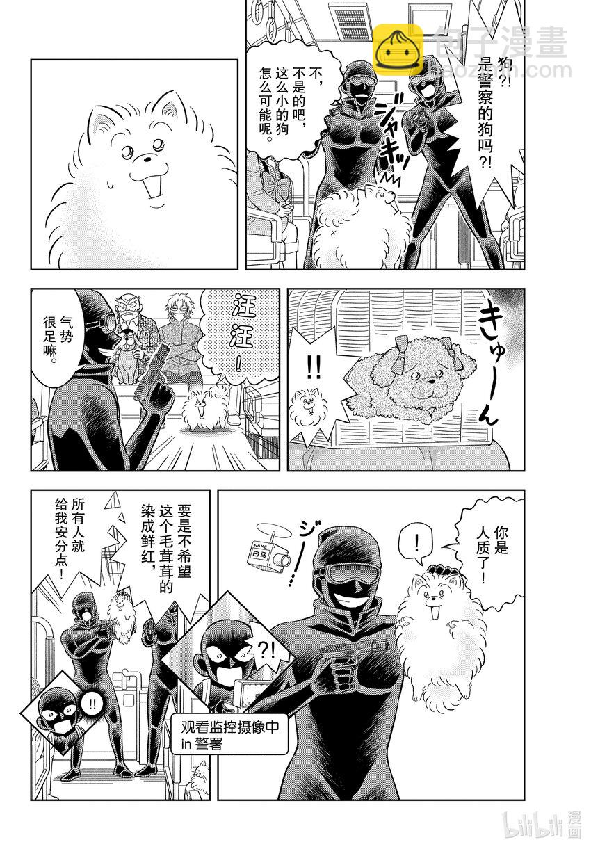 48 FILE.48 波美的日常19