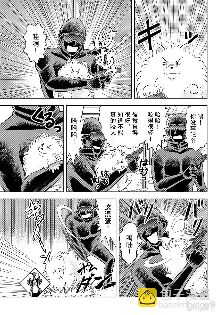 48 FILE.48 波美的日常20