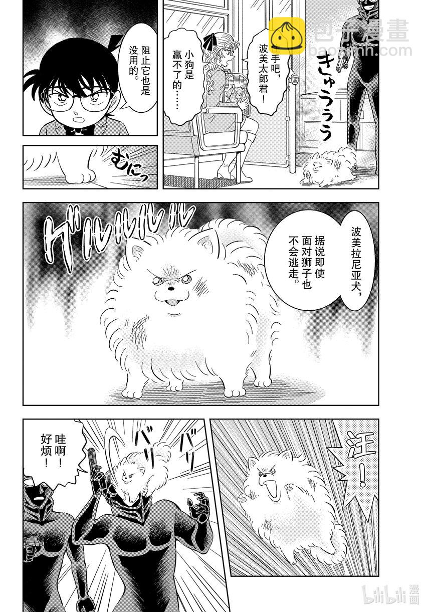 48 FILE.48 波美的日常21