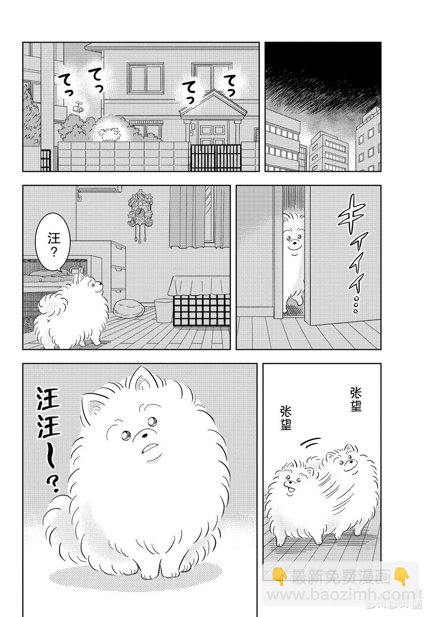 48 FILE.48 波美的日常25