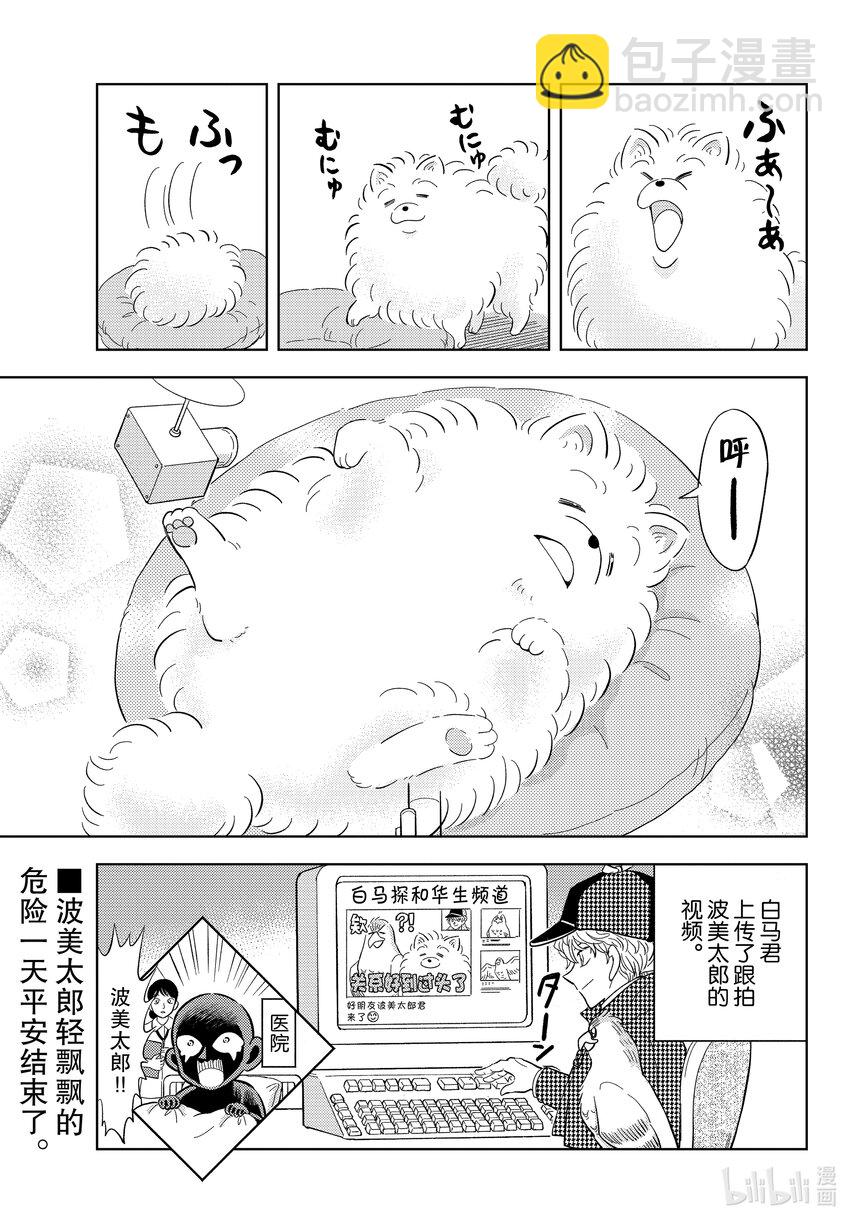 48 FILE.48 波美的日常26