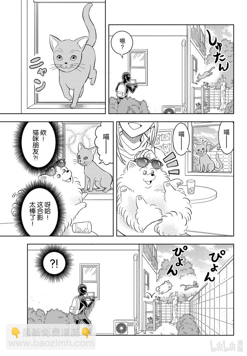 48 FILE.48 波美的日常6