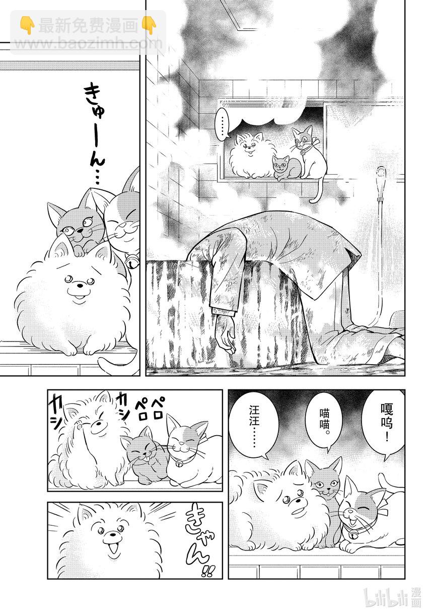 48 FILE.48 波美的日常8
