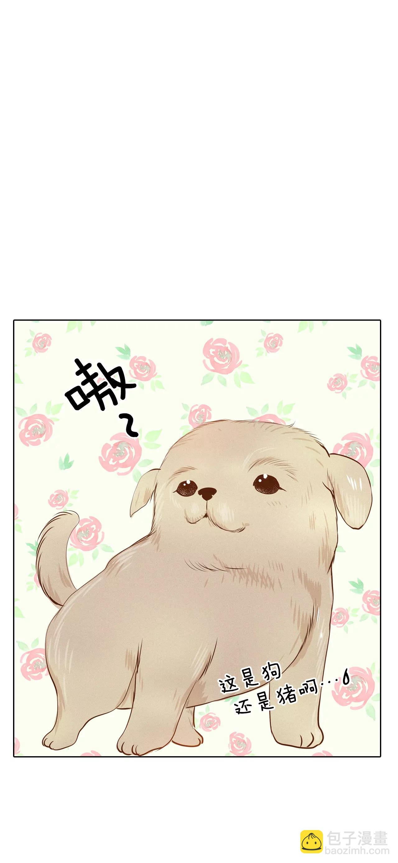 第101话 到底是谁25