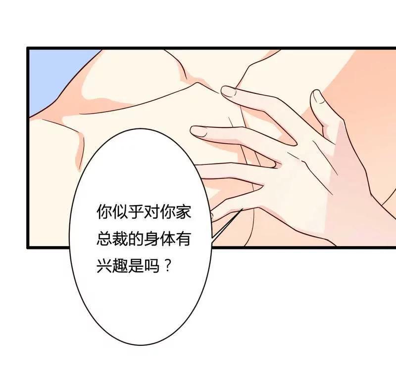 我被总裁套路了？12