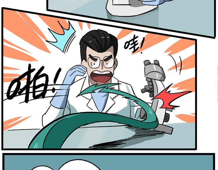 西城天高40 实验之后要洗手4