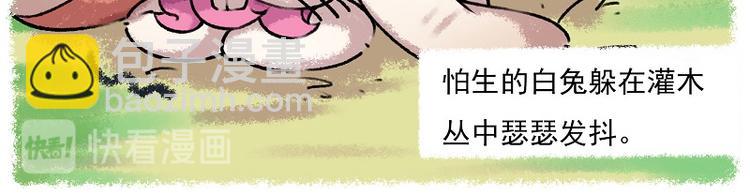小红帽 1-雨蛙与白兔13