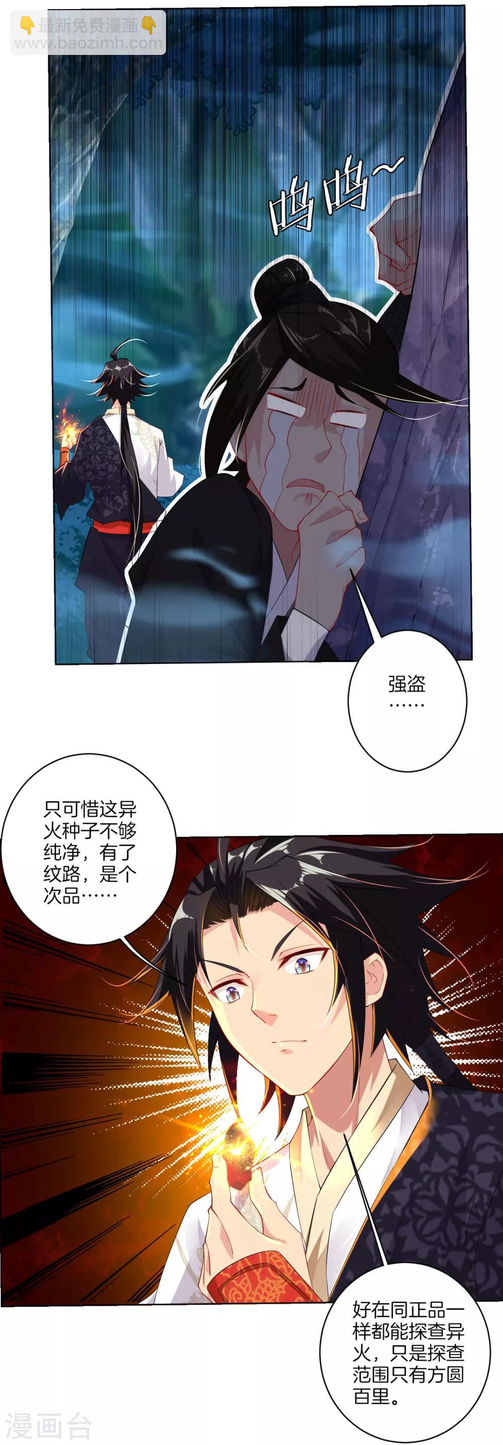 第12话 异火种子29