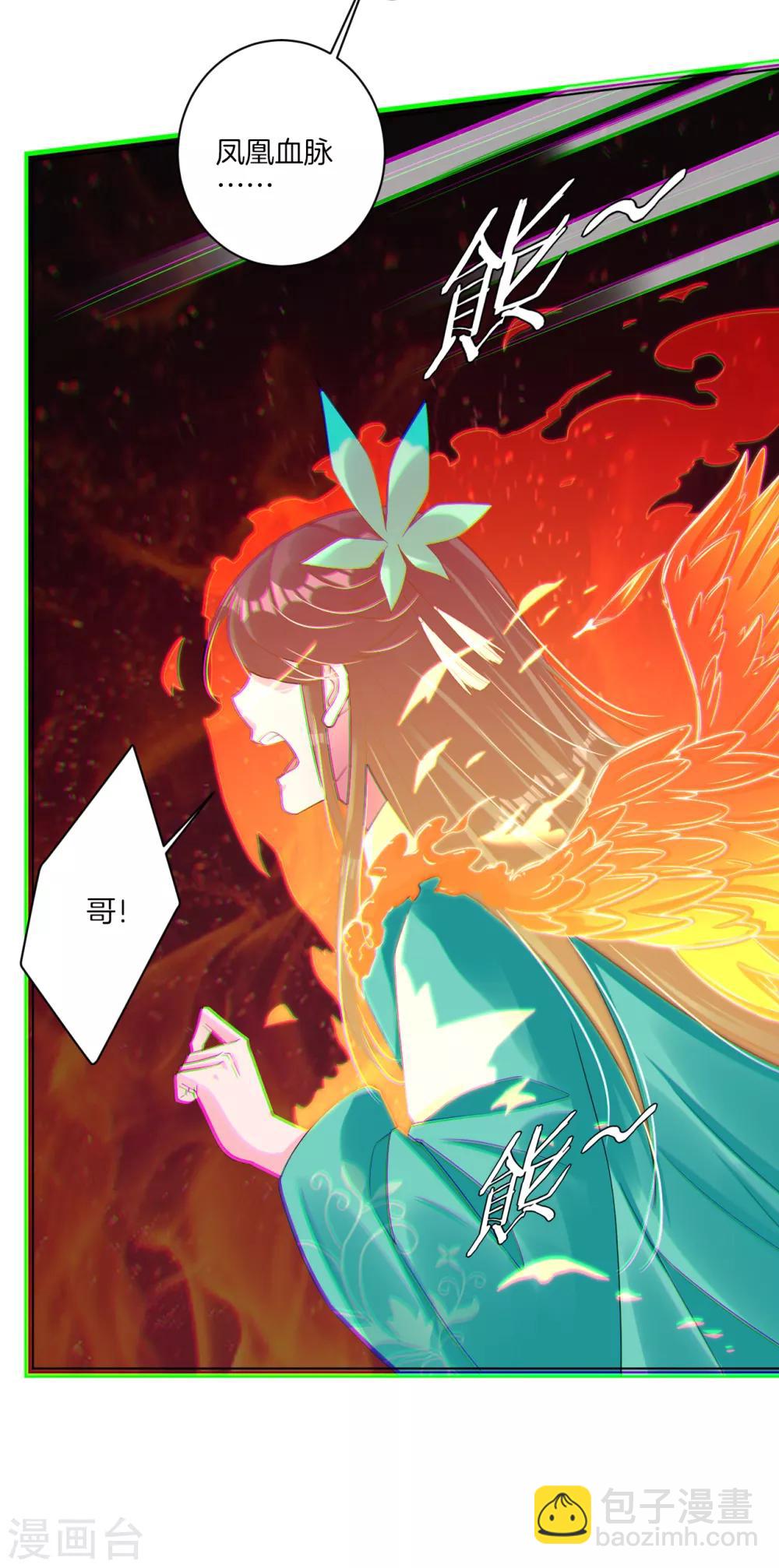 第54话 凤凰血脉10