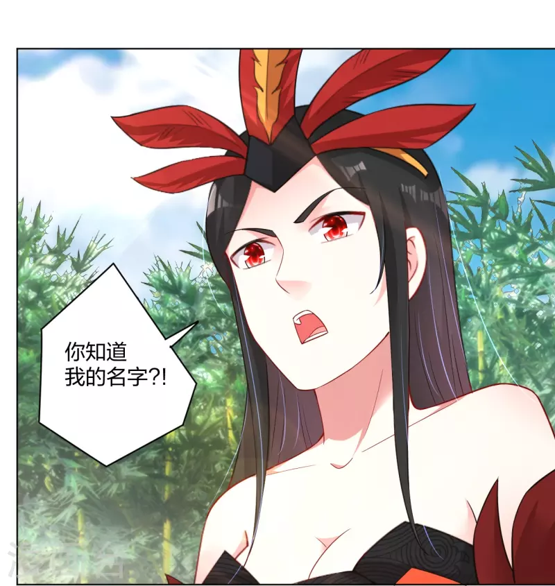 第247话 凤美艳！！18