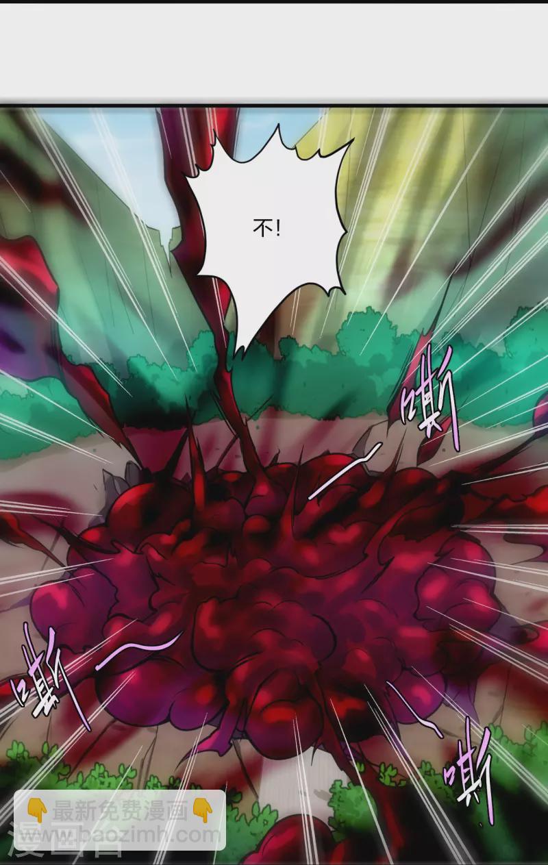第249话 剑灵19