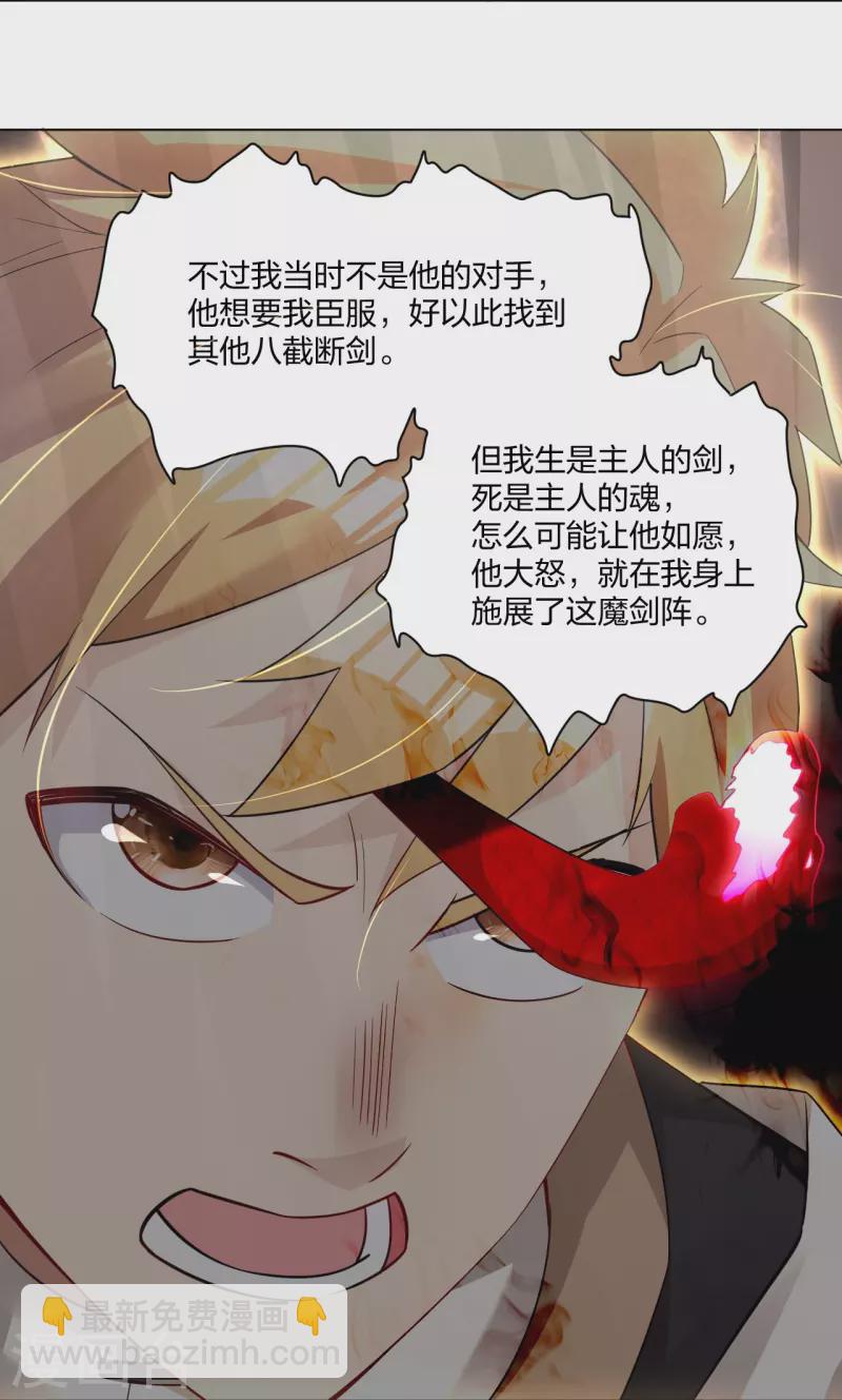 第249话 剑灵9