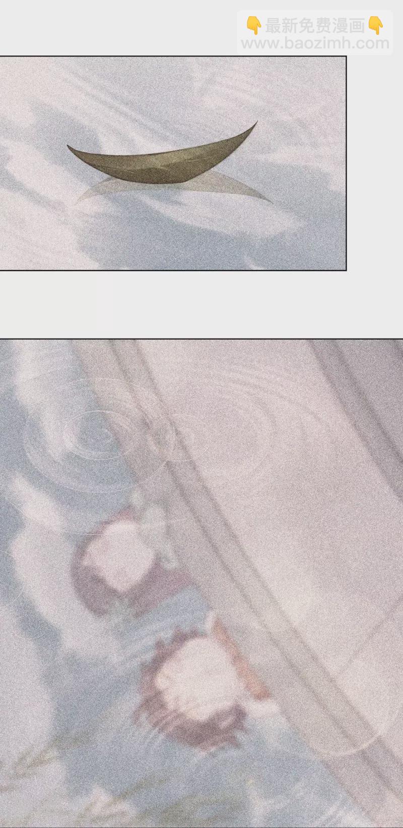 第256话 叶柔的身世26