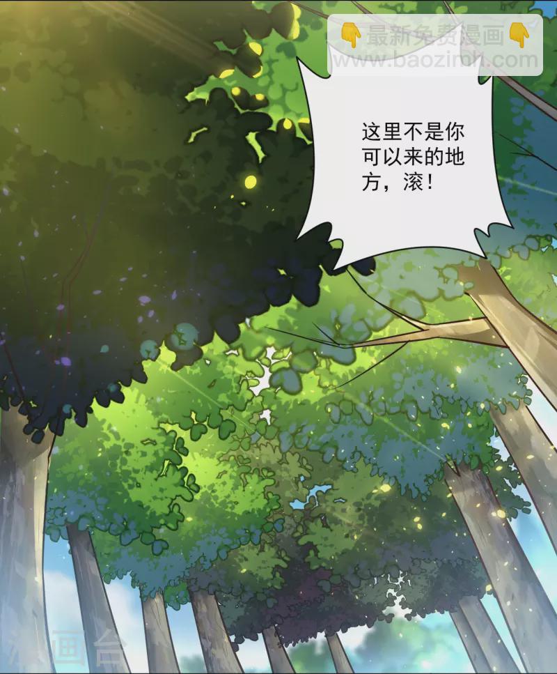 第315话 八荒幽林12