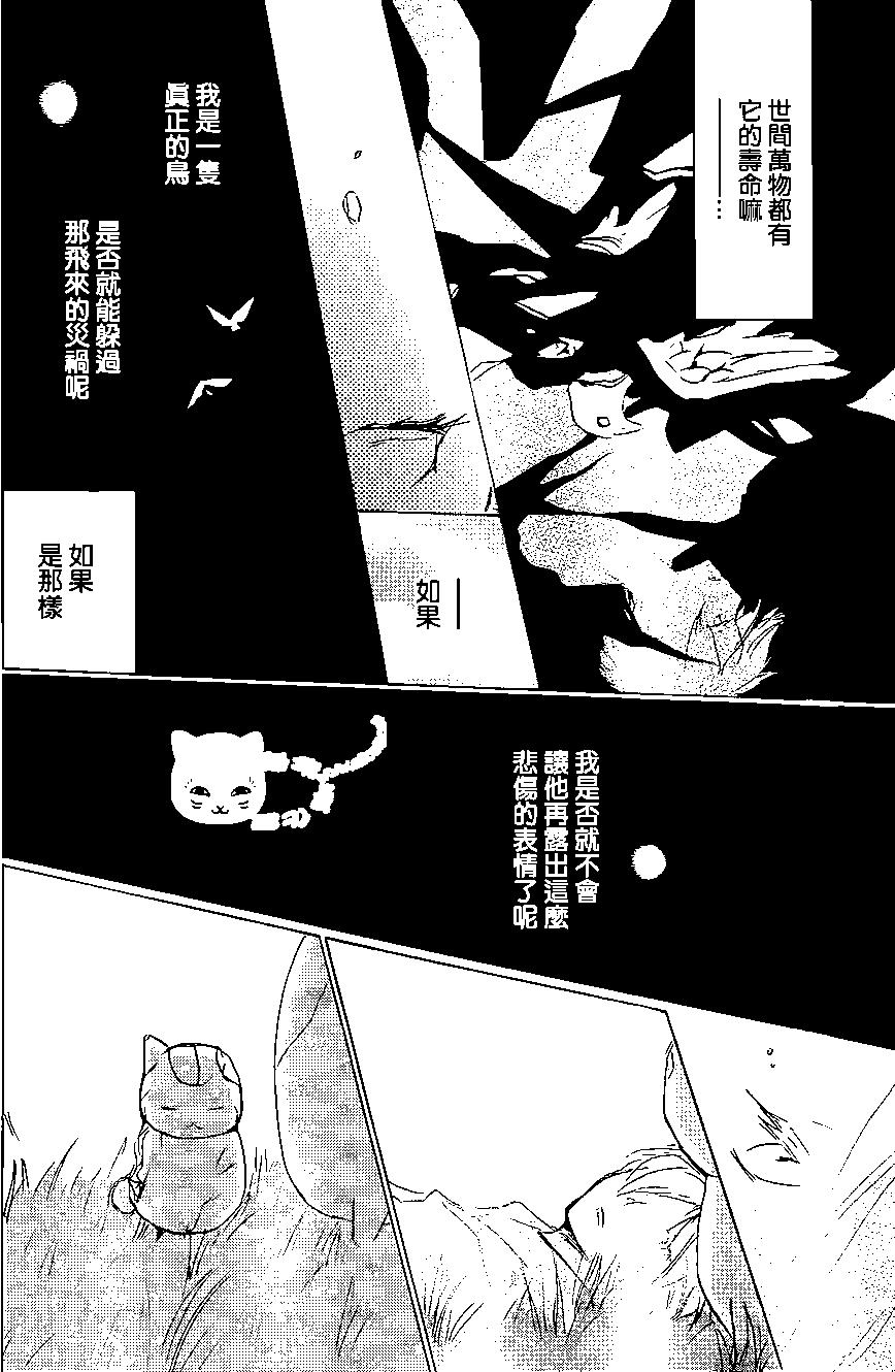 第91回40