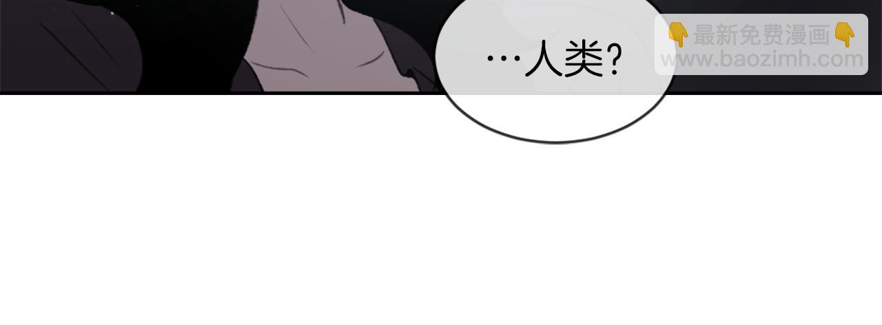 第64话 营救行动开始23