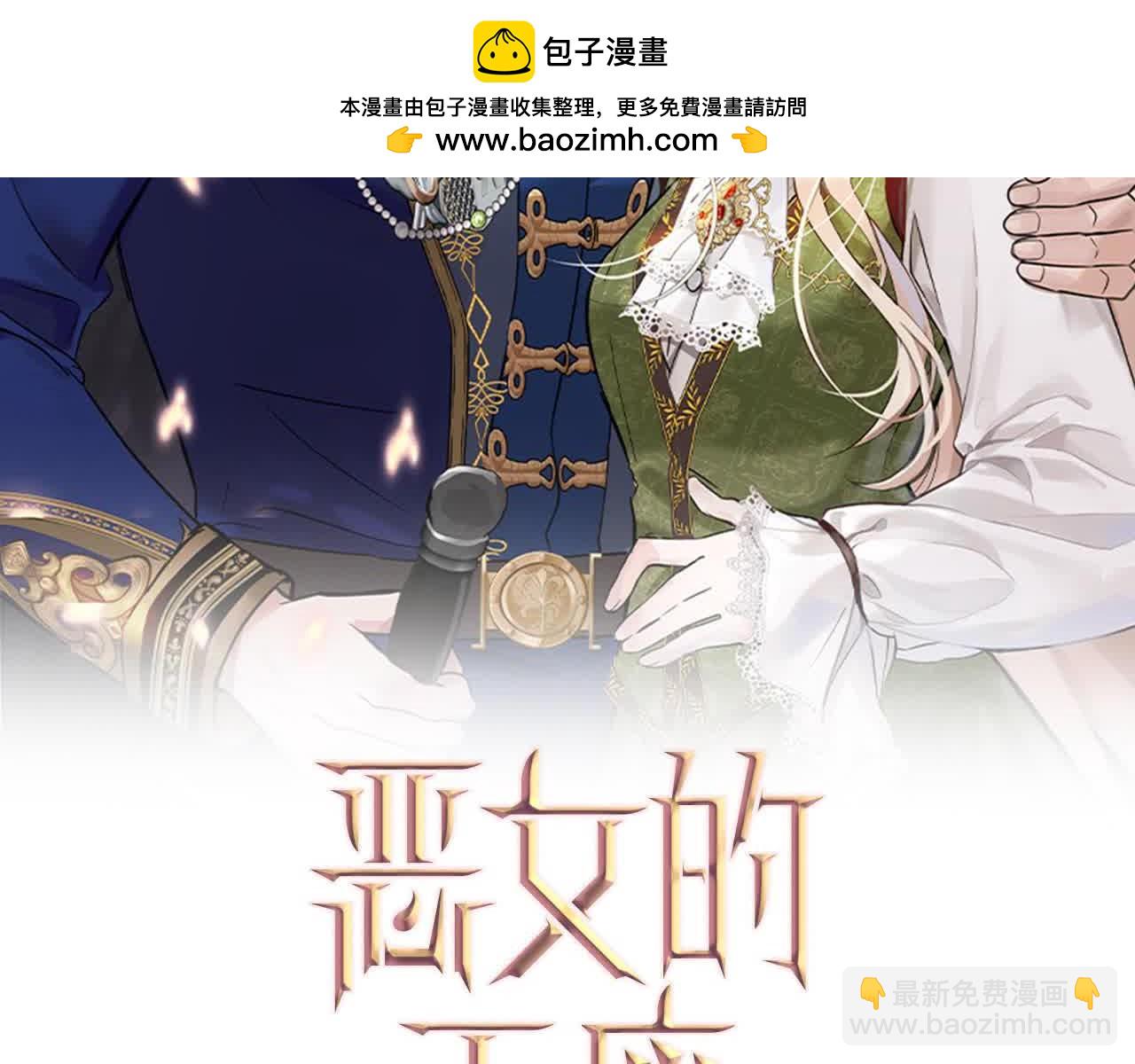 第三季完结篇 孩子诞生1