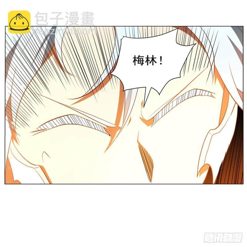 第216话 伪装68